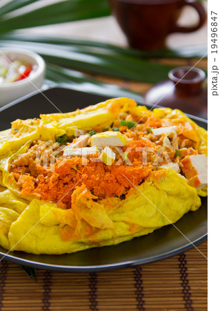 Stir fried tofu wrapped in omelett 19496847