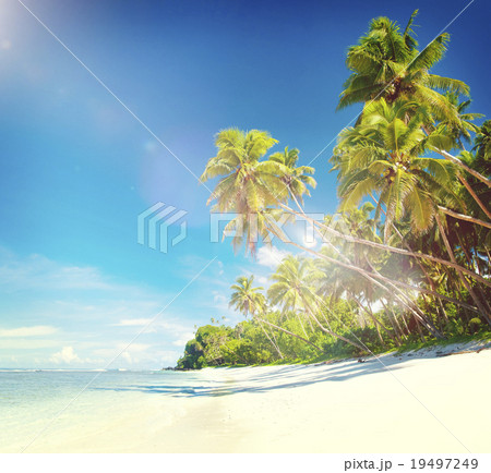 Tropical Beach Destination Travel Destination Concept Tropical Beach Destination Travel Destination Concept 19497249