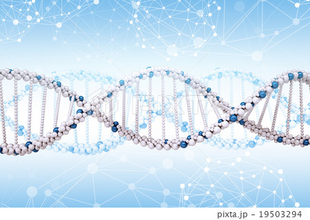 DNA molecule on blue 19503294