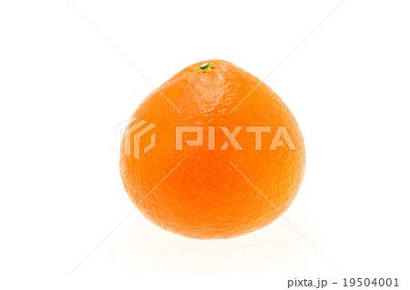 紅まどんな 19504001