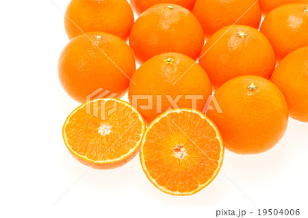 紅まどんな 紅まどんな 19504006