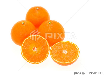 紅まどんな 紅まどんな 19504010