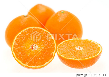 紅まどんな 紅まどんな 19504011