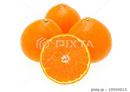 紅まどんな 紅まどんな 19504013