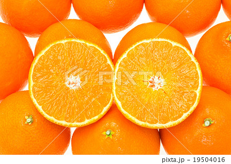 紅まどんな 紅まどんな 19504016