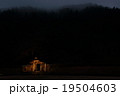 朝倉氏遺跡 19504603