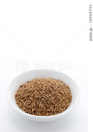 クミンシード クミンシード 19504733