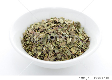 オレガノ 19504736