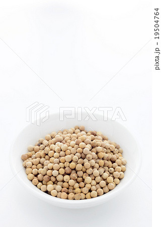 ホワイトペッパー 19504764