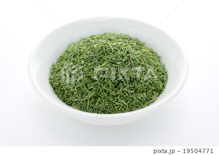 ディルウィード 19504771