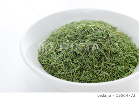 ディルウィード 19504772