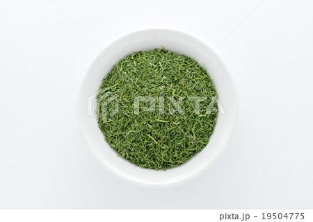 ディルウィード 19504775