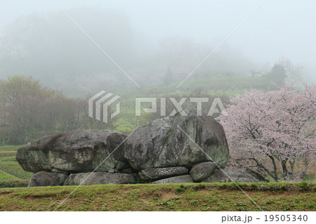 霧の石舞台古墳と桜 霧の石舞台古墳と桜 19505340