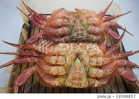 焼かれる毛蟹 19506857