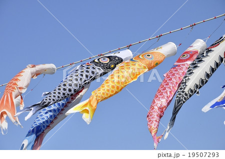 空に泳ぐ鯉のぼり 19507293