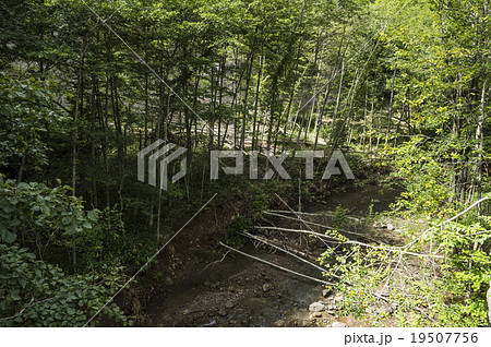 豪雨災害の記録 19507756