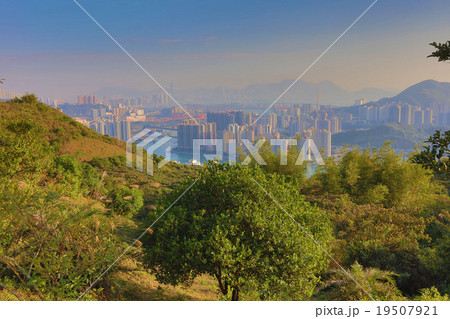 Downtown Kowloon Hongkong from Tsuen Wan Downtown Kowloon Hongkong from Tsuen Wan 19507921