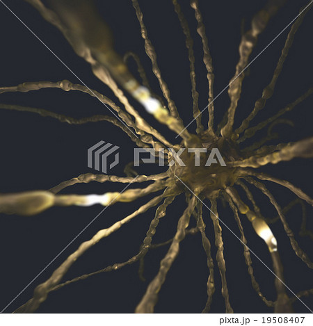 Neurons Concept 19508407