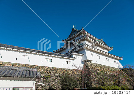 青空に映える白壁の和歌山城 19508414