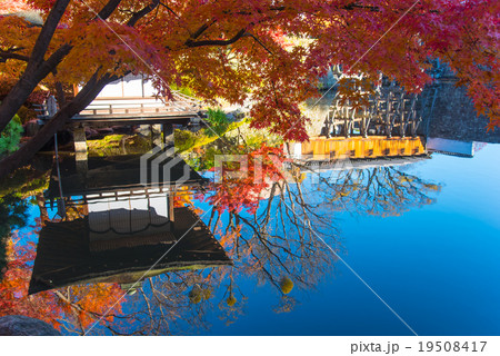 和歌山城　紅葉渓庭園の紅葉と池　映り込む紅葉と御橋廊下 19508417