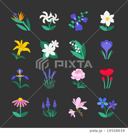 Famous Flower icons Set 2 19508639