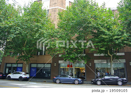 茂名南路 茂名南路 19509105