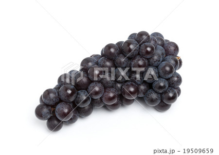 ブドウ　スチューベン　 19509659