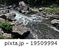 秋川渓谷 19509994