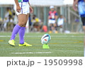 ラグビー 19509998