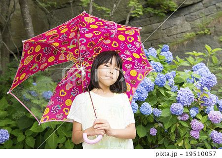 女の子とアジサイ（梅雨イメージ） 19510057