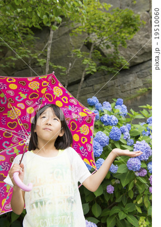 女の子とアジサイ(梅雨イメージ) 女の子とアジサイ(梅雨イメージ) 19510060