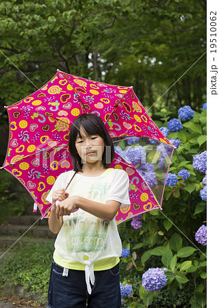女の子とアジサイ(梅雨イメージ) 女の子とアジサイ(梅雨イメージ) 19510062