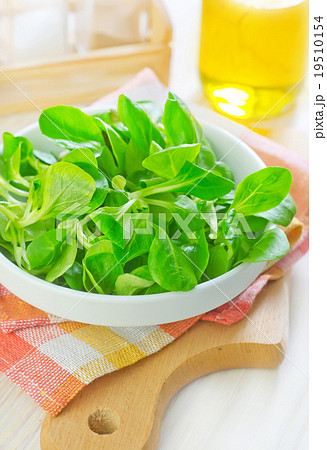 corn salad 19510154