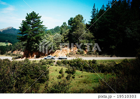 ニュージーランド　牽引 19510303