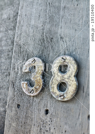 ニュージーランド　カフェ 19510400