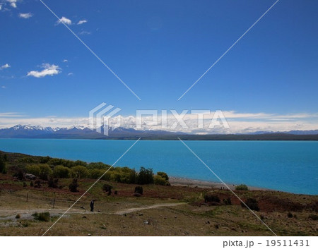 ニュージーランド　アオラキ/マウントクック国立公園　プカキ湖 19511431
