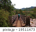 屋久島　小杉谷橋 19511473