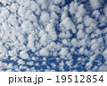 空いっぱいのうろこ雲 19512854