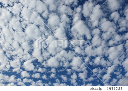 空いっぱいのうろこ雲 空いっぱいのうろこ雲 19512854