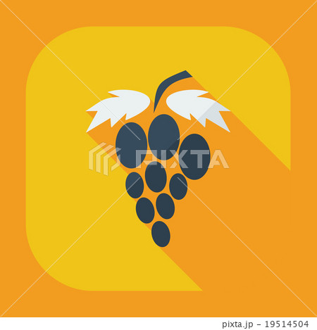 Flat modern design with shadow icons grapes Flat modern design with shadow icons grapes 19514504
