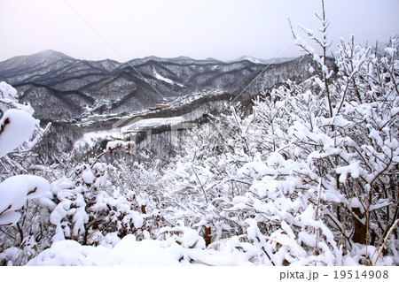 三角山から見る霧氷と札幌の山並み 三角山から見る霧氷と札幌の山並み 19514908