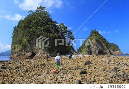 伊豆三四郎島 19516091