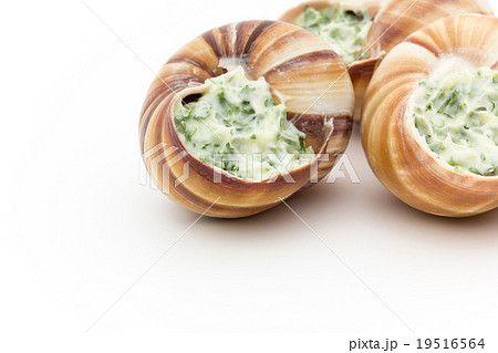 調理前のエスカルゴ: Uncooked escargot 19516564