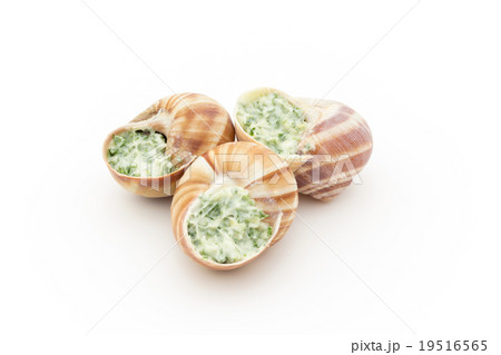 調理前のエスカルゴ: Uncooked escargot 19516565