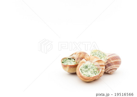 調理前のエスカルゴ: Uncooked escargot 調理前のエスカルゴ: Uncooked escargot 19516566