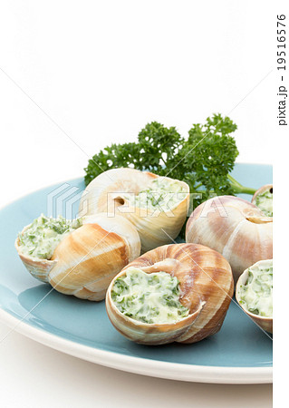 調理前のエスカルゴ: Uncooked escargot 19516576