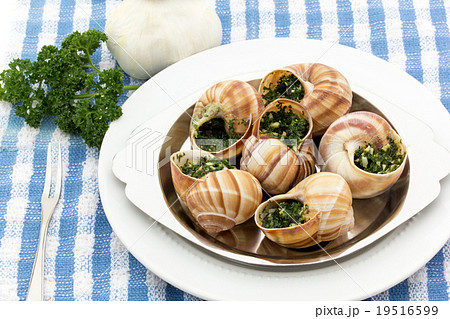 エスカルゴ: Cooked escargot on escargot plate 19516599