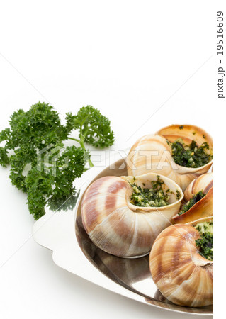 エスカルゴ: Cooked escargot on escargot plate 19516609