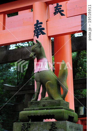 伏見稲荷の狛狐-1 19516911