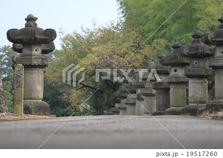 狭山不動尊 19517260